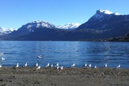 Bergklub: Buochserhorn (1807 m.ü.M.)